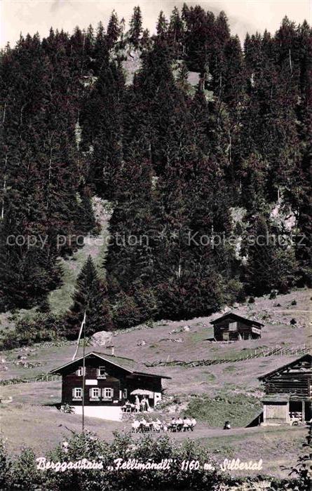 Silbertal Montafon Vorarlberg AT Berggasthaus-Fellimaendli Waldlandschaft Tannen