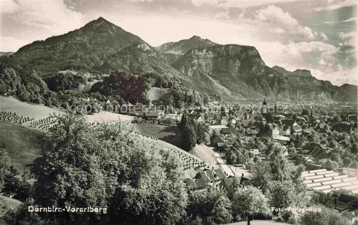 Dornbirn Vorarlberg AT Stadtpanorama Berge Alpen Kirche Daecher Obstgaerten Wies