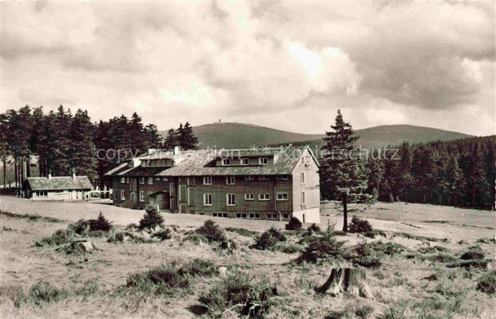 Torfhaus Altenau Harz Niedersachsen Jugendherberge Brockenblick Oberharz Nadelwa