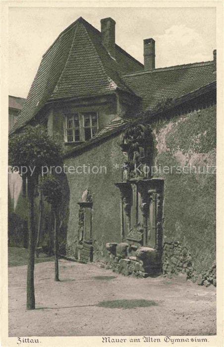 Zittau Sachsen Altes-Gymnasium Mauer Steinreliefs Skulpturen Fassade Baum Histor