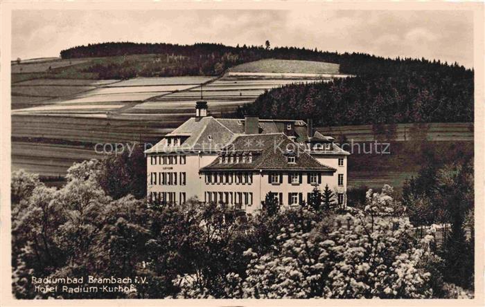 Bad Brambach Vogtlandkreis Sachsen Hotel-Radium-Kurhof Radium-Kuranstalt Wiesen