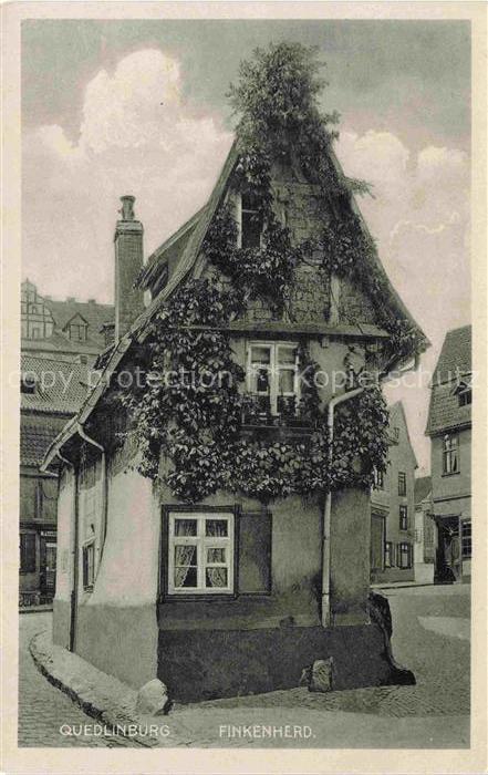 Quedlinburg Harz Finkenherd Fachwerkhaus Efeu Gasse Altstadt Kopfsteinpflaster