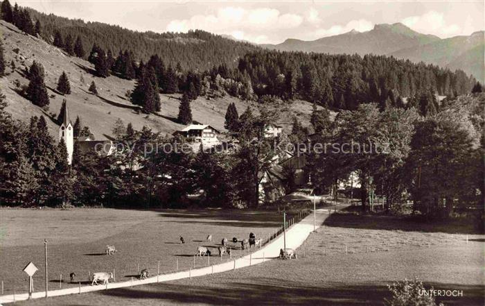 Unterjoch Bad Hindelang Bayern Dorfkirche Allgaeu Bergwiese Kuehe Alpenblick Wal