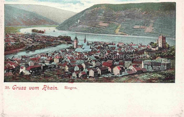 Bingen Rhein Rheinland-Pfalz Rhein Stadtpanorama Maeueturm Burg-Klopp Weinberge
