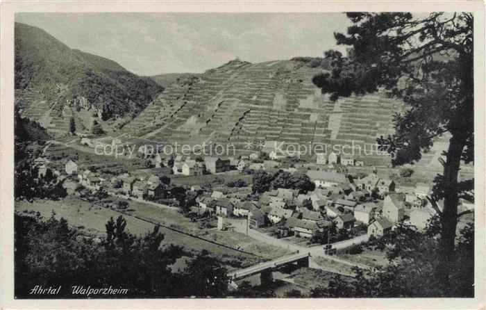 Walporzheim Bad Neuenahr-Ahrweiler Rheinland-Pfalz Ahrtal Weinberge Terrassenreb