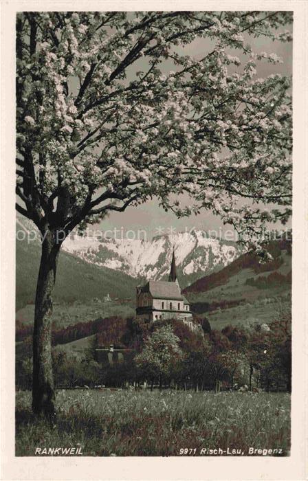 Rankweil Vorarlberg AT Kirche Bluetenbaum Berge Fruehling Wiesen Tal