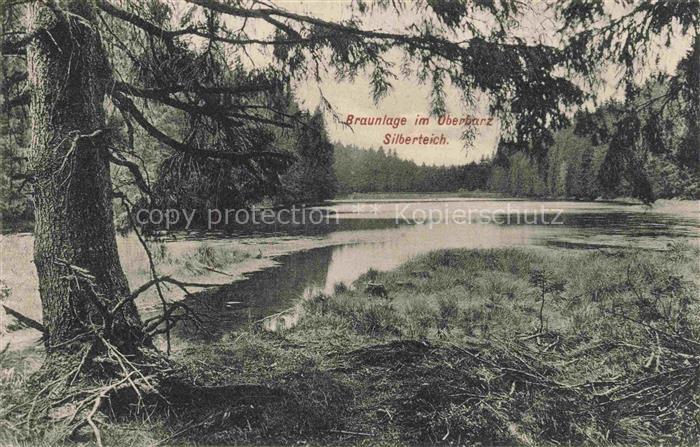 Braunlage Harz Niedersachsen Silberteich Teich Oberharz Wald Nadelbaeume Spiegel