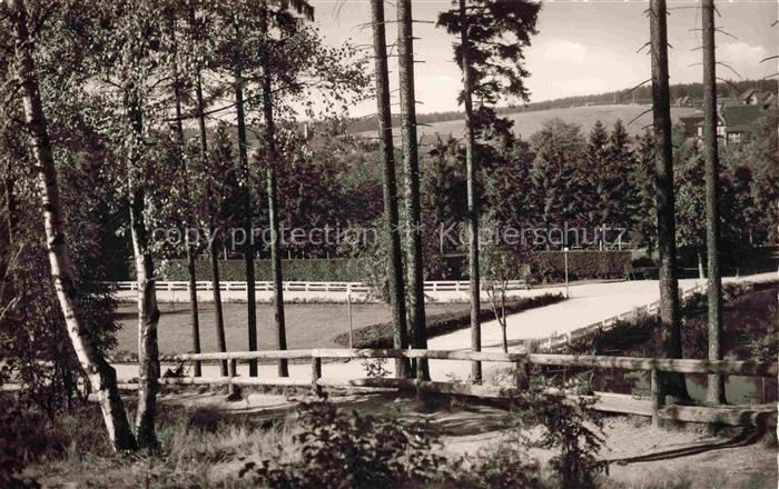 Braunlage Harz Niedersachsen Kurpark Birken Nadelbaeume Tennisplatz Park Weg Zau