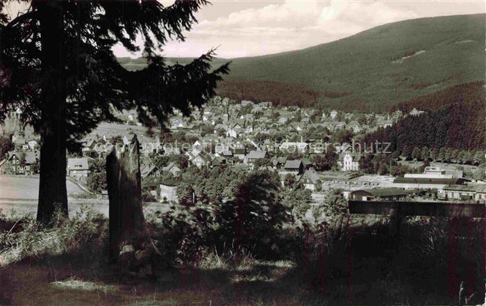 Braunlage Harz Niedersachsen Adamsblick Oberharz Ortschaft Wald Berge Kirche Tan
