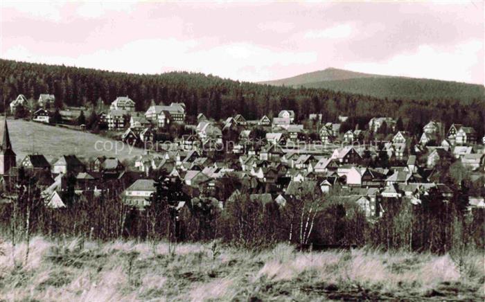 Braunlage Harz Niedersachsen Jermerstein-Viertel Achtermann Harz Ortschaft Wald
