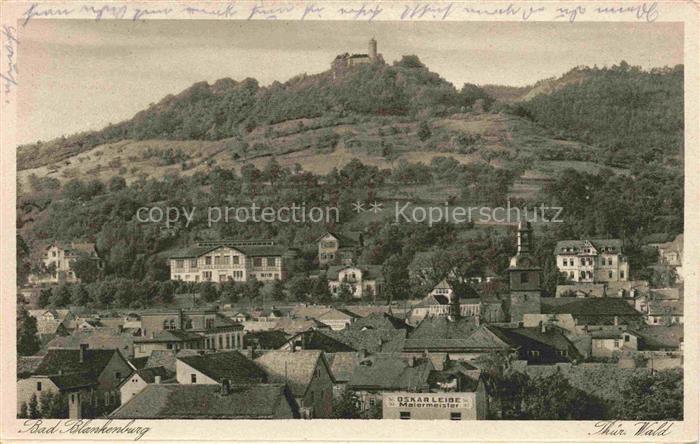 Bad Blankenburg Stadtansicht Ruine-Greifenstein Berg Kirche Haeuser Thueringen W