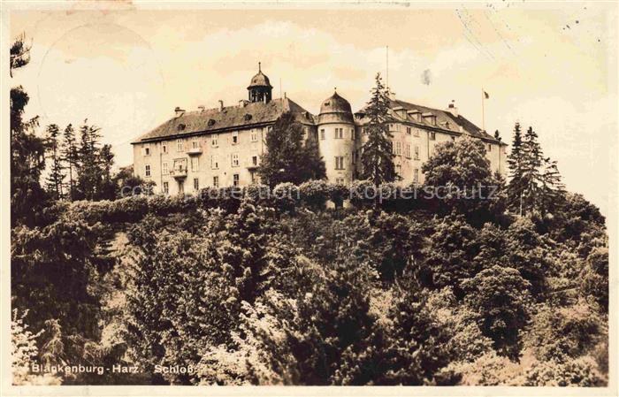 Blankenburg Harz Schloss Burg Huegel Baeume Harz Turm