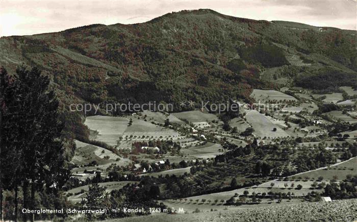 Oberglottertal Glottertal BW Kandel Schwarzwald Tal Wiesen Wald Berge Baeume Obs