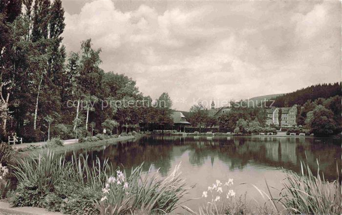 Braunlage Harz Niedersachsen Kurpark Weiher Iris Baeume Kirche Harz Spiegelung