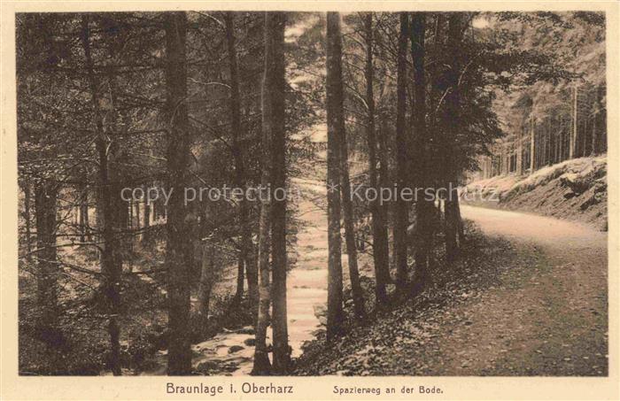 Braunlage Harz Niedersachsen Spazierweg Bode Wald Fluss Weg Nadelwald Harz Oberh