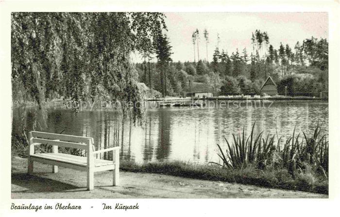 Braunlage Harz Niedersachsen Kurpark Teich Bank Wald Bootshuette Birke Nadelwald