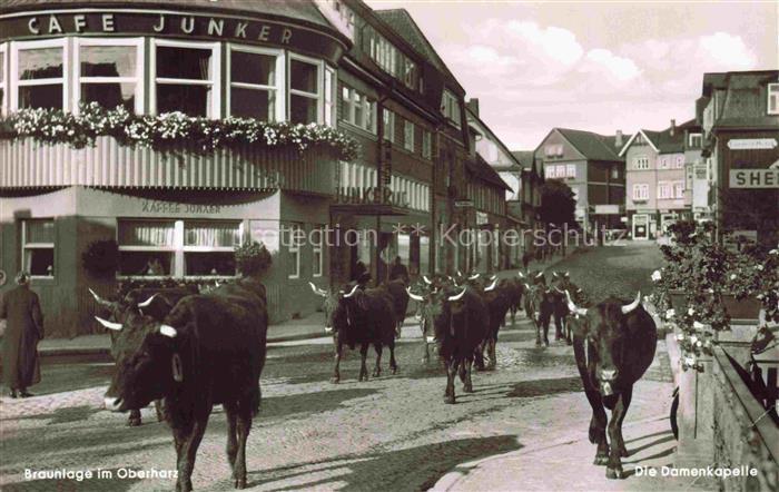 Braunlage Harz Niedersachsen Damenkapelle Cafe-Junker Rinder Viehtrieb Strasse G