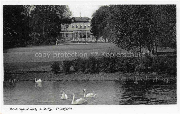 BAD HOMBURG von der Hoehe Hessen Kurhaus Schwaene Teich Park Baeume Rasen