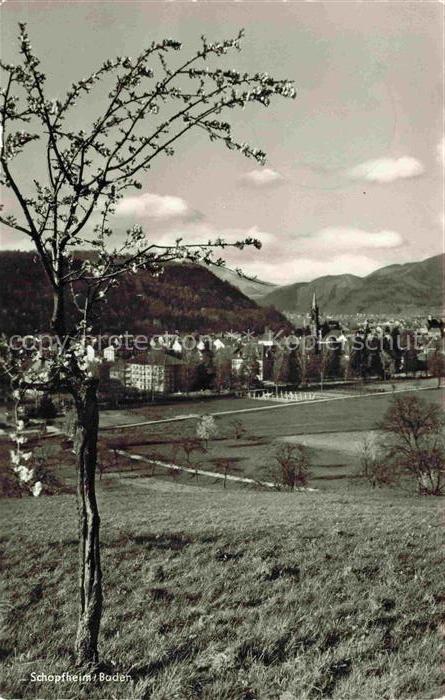 Schopfheim BW Schopfheim Panorama Kirchturm Berge Schwarzwald Wiesen Fruehling O