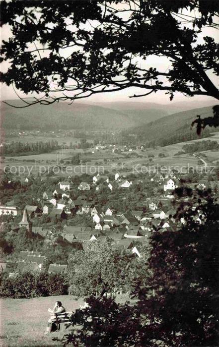 Bad Koenig Odenwald Hessen Odenwald Panorama Daecher Kirche Berge Wald Wiesen Sp