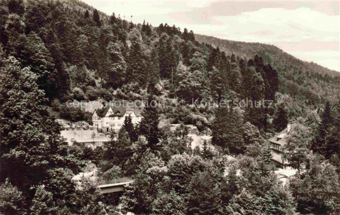 Raumuenzach Forbach BW Hotel-Wasserfall Murgtal Schwarzwald Villa Wald Bruecke T