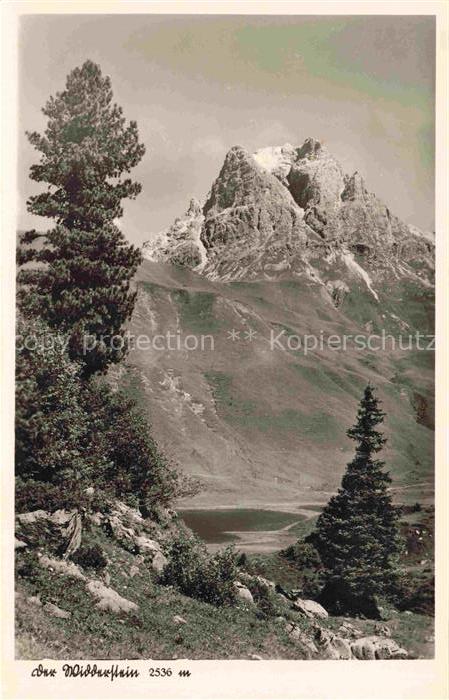 MITTELBERG  Kleinwalsertal AT Widderstein Berg Alpen See Berglandschaft Wald Fel