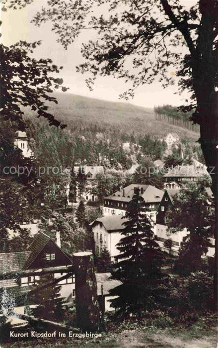 Kipsdorf Altenberg Sachsen Kurort Erzgebirge Wald Haeuser Villen Nadelwald Huege