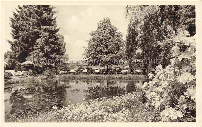 Elfenborn Rinteln Waldhaus-Elfenborn Teich Park Seerose Baeume Biergarten Rhodod
