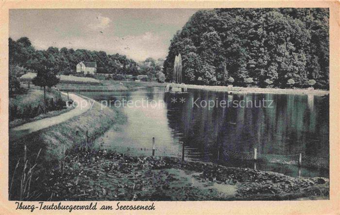 Bad Iburg Seecoseneck See Fontaene Weg Baeume Teutoburger-Wald Haus