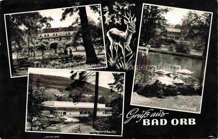 BAD ORB Hessen Kurhaus Konzerthalle Kurpark Reh Schwaene Teich