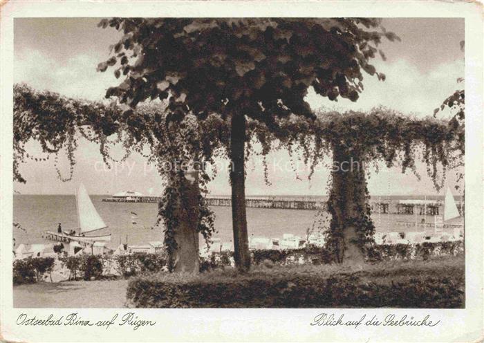 BINZ Ruegen Seebruecke Ostsee Segelboot Baeume Strand Ruegen Kupfertiefruck