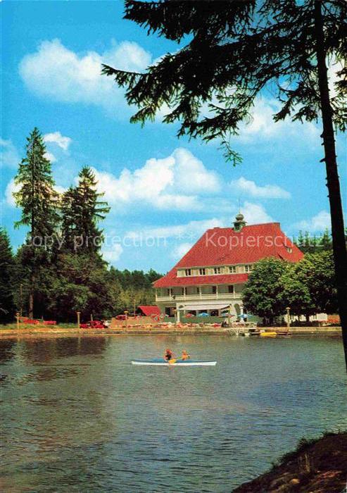 Lindenberg Allgaeu Waldseehotel See Ruderboot Wald Baeume Hotel rotes-Dach Farbf
