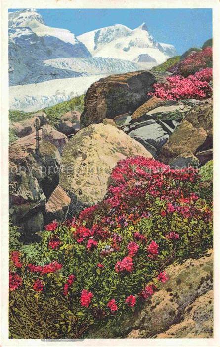 Photochromie Verlag Photochromie Nr. Serie 579 No. 1478 Gletscher Glacier