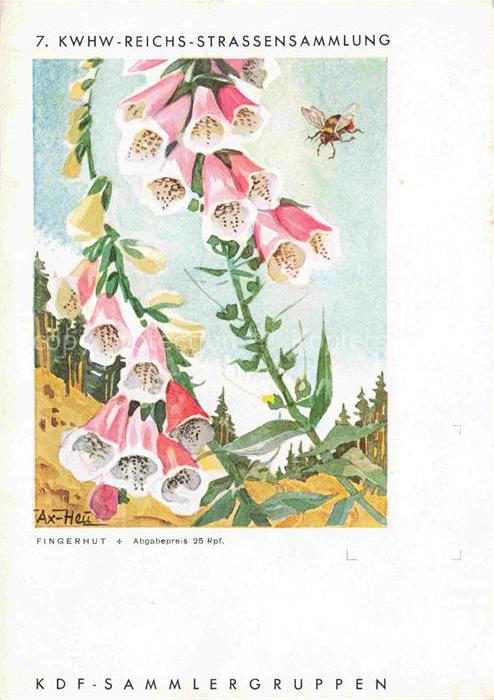 Briefmarken auf AK Timbres Postage Francobollo-- Glockenblume Bellflower