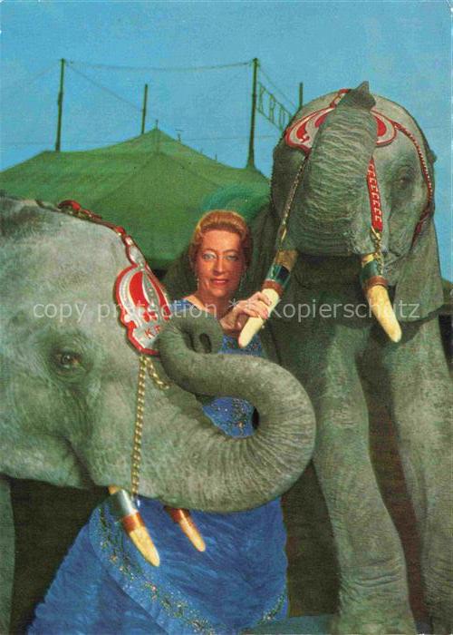 Elefant Frieda Krone Sembach Circus Leila Taku