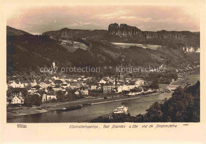 Foto Hahn Nr. 4021 Elbsandsteingebirge Bad Schandau Schrammsteine