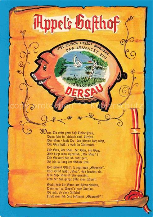 Chronik-AK Dersau Appel's Gasthof Pension