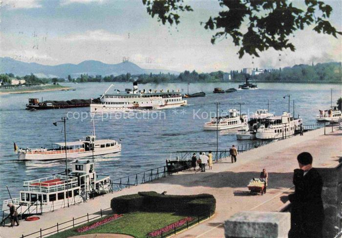 Schiffe Binnenschifffahrt Bonn Rheinporomenade
