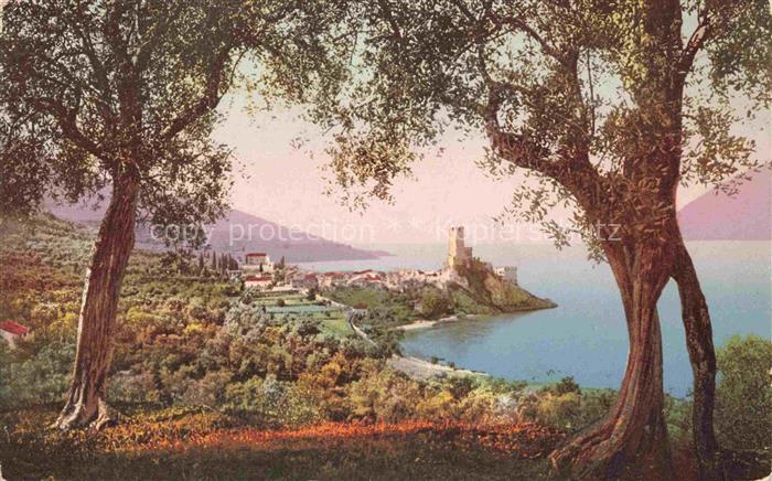 Malcesine Lago di Garda Veneto IT Lago-di-Garda Skaligerburg Olivenbaeume Ortsch