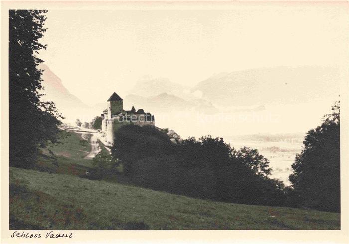 Vaduz Liechtenstein FL Schloss-Vaduz Burganlage Rheintal Berge Wiese Baeume Nebe