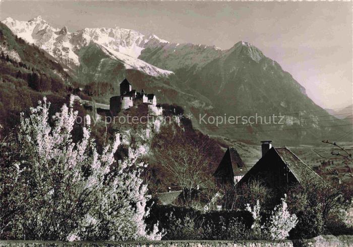 Vaduz Liechtenstein FL Schloss-Vaduz Falknis Fruehling Obstbluete Rheintal Berge