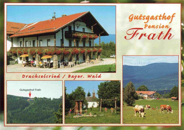 Drachselsried Regen Bayern Gutsgasthof-Frath Pension Bayerischer-Wald Kuehe Weid