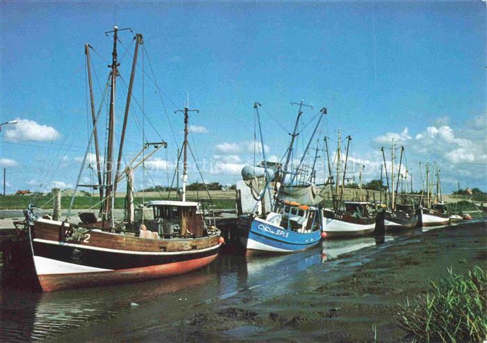 Spieka-Neufeld Nordholz Cuxhaven Niedersachsen Kutterhafen Spieka-Neufeld Fische