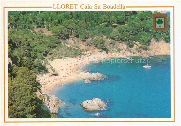 LLORET DE MAR Costa Brava ES Cala-Sa-Boadella Bucht Strand Badegaeste Pinienwael