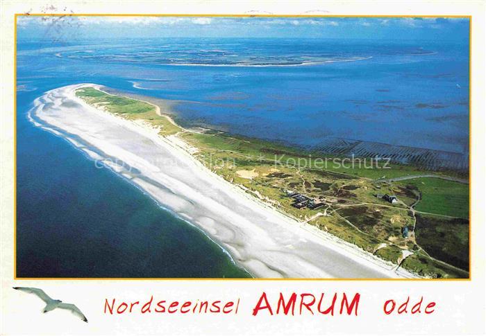 AMRUM Insel Nebel Nordfriesland Odde Sandstrand Luftbild Nordsee Wattenmeer Duen