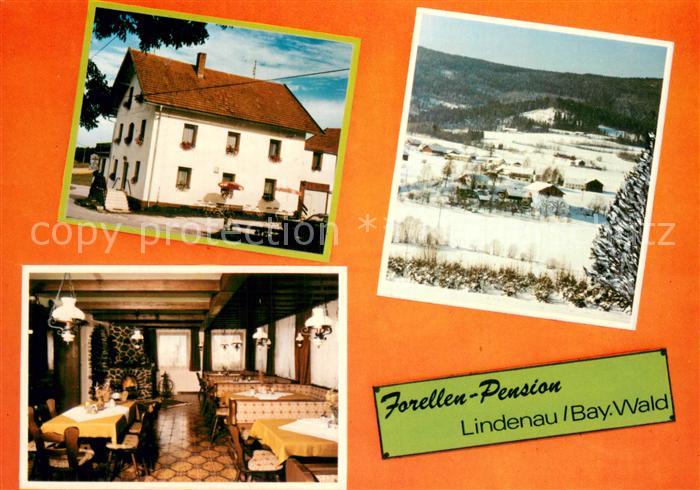 Lindenau Achslach Forellen Pension Gaststube Panorama