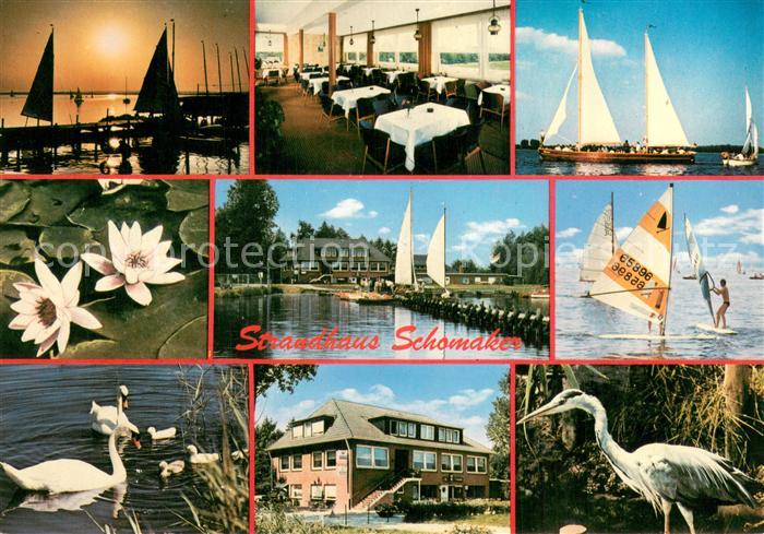 Duemmerlohausen Strandhotel Schomaker Gaststube Schwanenteich Mole Fischreiher S