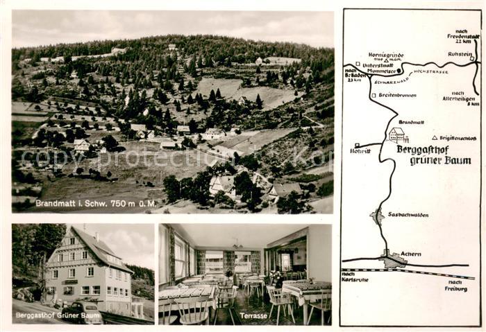 Brandmatt Schwarzwald Panorama Berggasthof Gruener Baum Terrasse