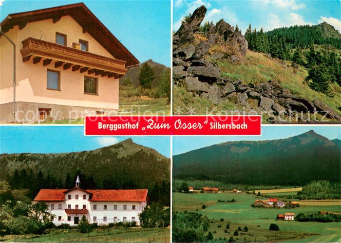 Silbersbach Berggasthof Zum Osser Panorama
