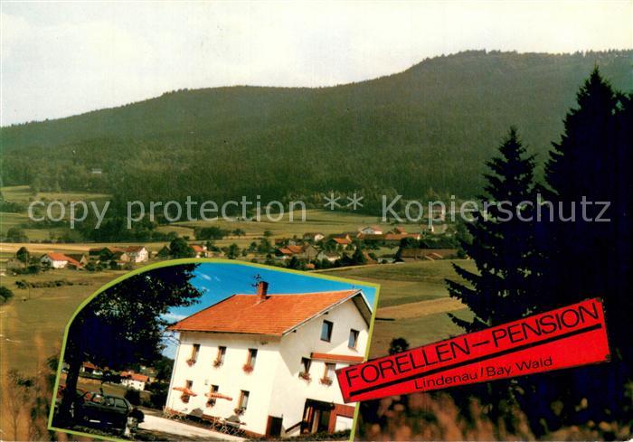 Achslach Regen Bayern Forellen Pension Panorama